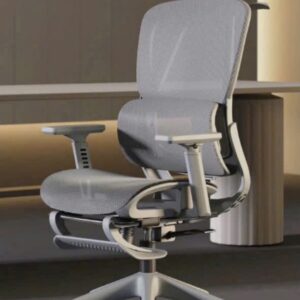 GHẾ CÔNG THÁI HỌC 919 XÁM + GÁC CHÂN