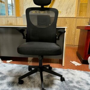 GHẾ CÔNG THÁI HỌC 883 ĐEN