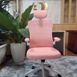 GHẾ CÔNG THÁI HỌC 883 HỒNG