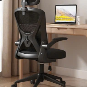 GHẾ CÔNG THÁI HỌC 699 ĐEN