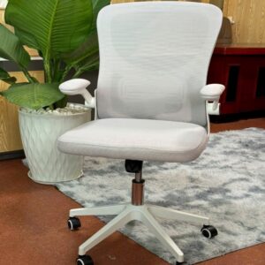 GHẾ CÔNG THÁI HỌC 883-1 XÁM