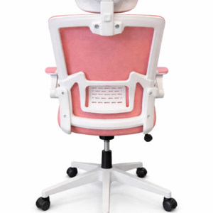 GHẾ CÔNG THÁI HỌC 588 HỒNG