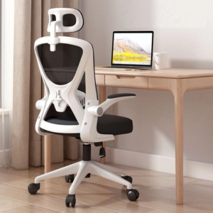 GHẾ CÔNG THÁI HỌC 699 TRẮNG