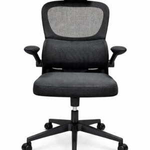 GHẾ CÔNG THÁI HỌC 889 ĐEN