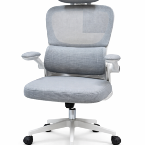 GHẾ CÔNG THÁI HỌC 889 XÁM