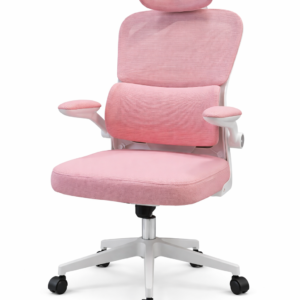 GHẾ CÔNG THÁI HỌC 889 HỒNG