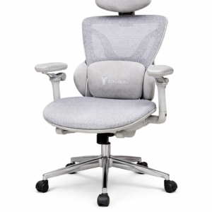 GHẾ CÔNG THÁI HỌC E16 TRẮNG + GÁC CHÂN