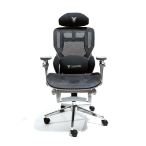 GHẾ CÔNG THÁI HỌC E16 ĐEN + GÁC CHÂN