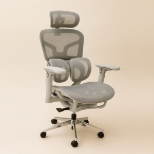 GHẾ CÔNG THÁI HỌC 621 XÁM